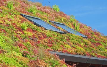 Sutton On Hull living roof systems