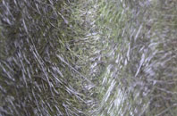 Sutton On Hull fibreglass roof work